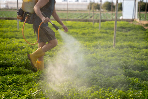 Best Ant Control Services  in Cleveland, OK