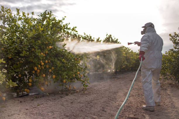Professional Pest Control in Cleveland, OK