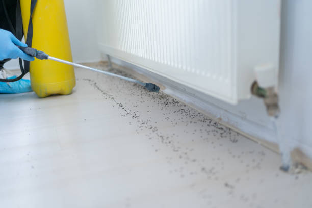 Best Best Pest Control Near Me  in Cleveland, OK